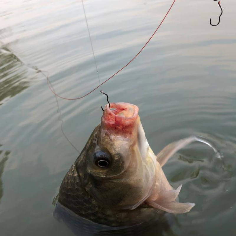 FTK Automatic Flip ami da pesc - Fishing Hook Assortment recensione e prezzo